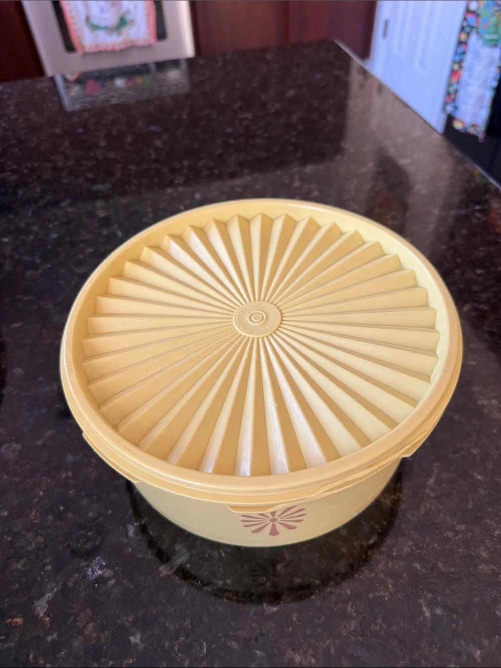Vintage Sunburst Tupperware Storage Container